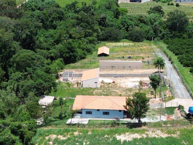 #809 - Chácara para Venda em Limeira - SP - 3