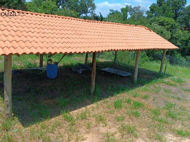 #810 - Chácara para Venda em Limeira - SP - 1