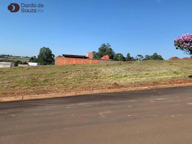 #857 - Área para Venda em Limeira - SP - 1
