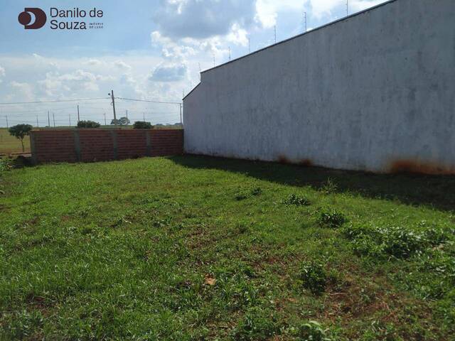 #859 - Área para Venda em Limeira - SP - 1