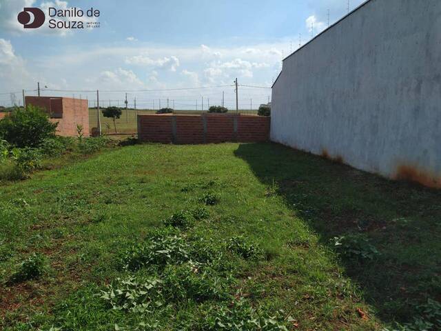 #859 - Área para Venda em Limeira - SP - 3