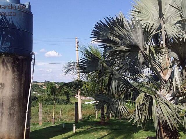 #860 - Sítio para Venda em Limeira - SP - 1