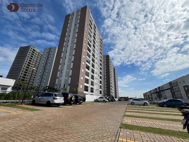 Venda em Boa Vista da graminha - Limeira