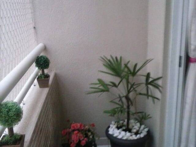 #1144 - Apartamento para Venda em Limeira - SP - 3