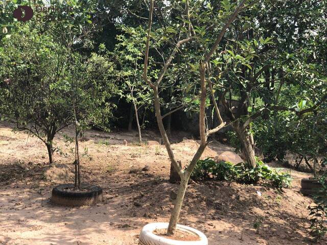 #1166 - Chácara para Venda em Limeira - SP - 2