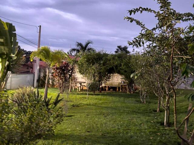 #1194 - Chácara para Venda em Limeira - SP - 2