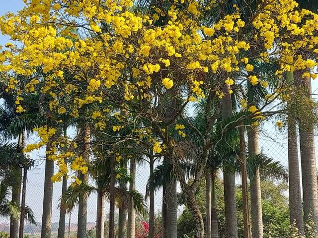 #1218 - Chácara para Venda em Limeira - SP - 2
