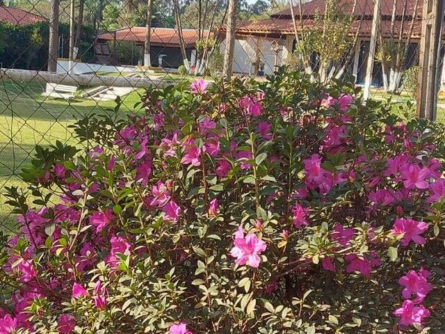 #1218 - Chácara para Venda em Limeira - SP - 3