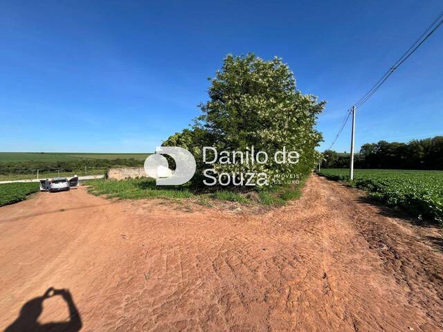 #1388 - Sítio para Venda em Conchal - SP - 1