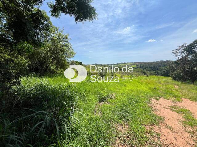 #1392 - Área para Venda em Limeira - SP