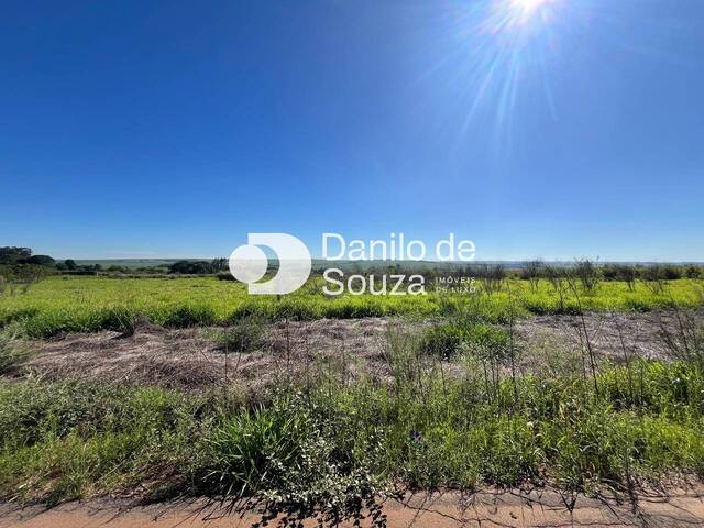 #1393 - Área para Venda em Limeira - SP - 3