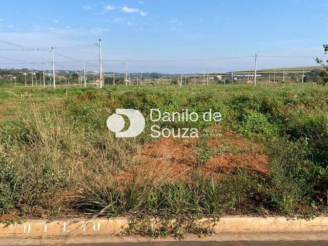 #1560 - Área para Venda em Limeira - SP - 1