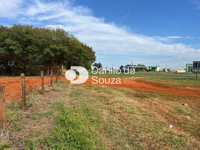 #1650 - Área para Venda em Limeira - SP - 3